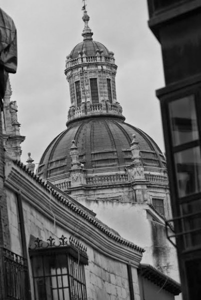 Foto 4/Salamanca en blanco y negro