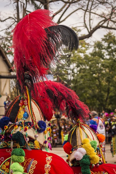 Foto 5/fiesta boliviana