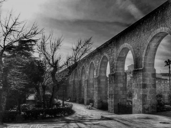 Foto 1/Plasencia en blanco y negro