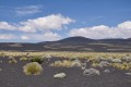 payunia, tierra de volcanes