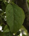 DESPUES DE LA TORMENTA