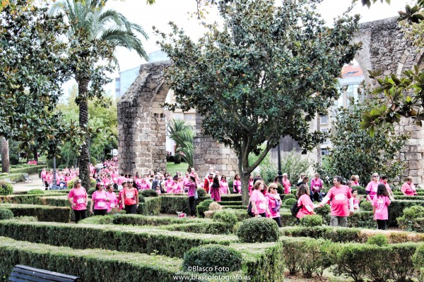 Foto 2/La marcha rosa