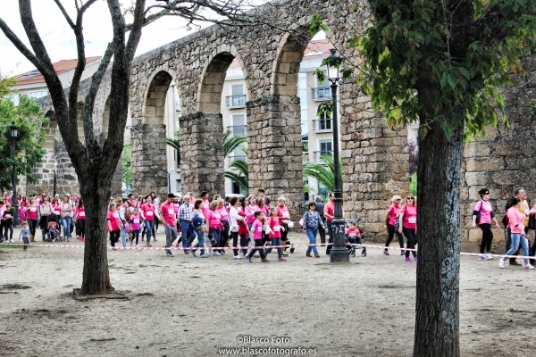 Foto 5/La marcha rosa