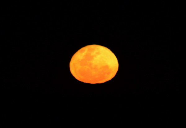 Foto 4/LUNA DEL 16 DE OCTUBRE