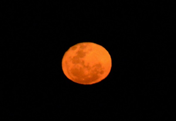 Foto 5/LUNA DEL 16 DE OCTUBRE