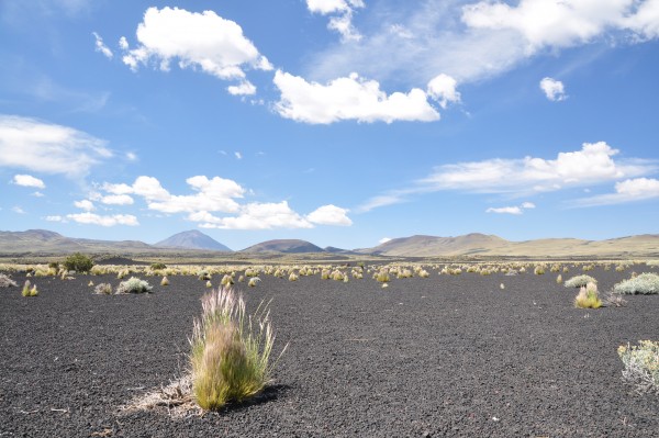 Foto 2/la Payunia, Malargue, Mendoza.-