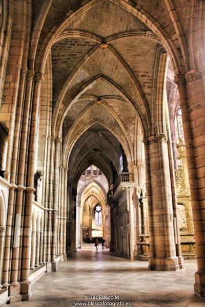 Foto 5/Catedral de Len