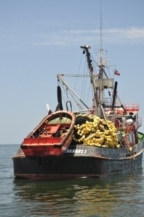 Foto 2/barcos de pesca