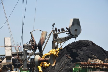 Foto 3/barcos de pesca