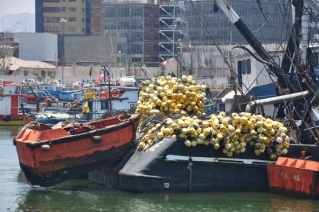 Foto 5/barcos de pesca