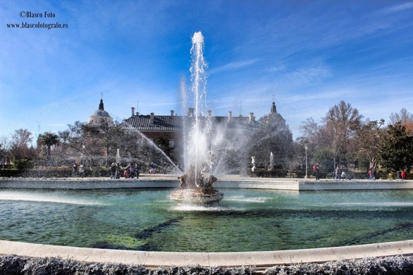 Foto 3/Jardines de Aranjuez