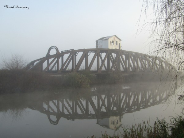 Foto 5/Niebla sobre mi ciudad