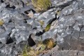 tierra de volcanes Payunia (Malargue-Mendoza)