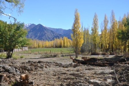 Foto 1/dorados otoos en el valle de Uspallata