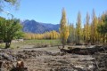 dorados otoos en el valle de Uspallata