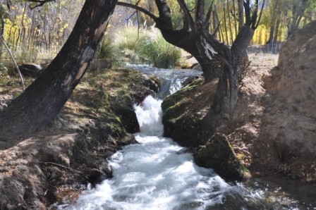 Foto 3/arroyo San Alberto (Uspallata-Mza.).-