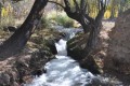 arroyo San Alberto (Uspallata-Mza.).-