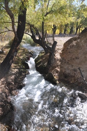 Foto 4/arroyo San Alberto (Uspallata-Mza.).-