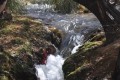 arroyo San Alberto (Uspallata-Mza.).-