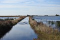 Inundaciones en La Pampa