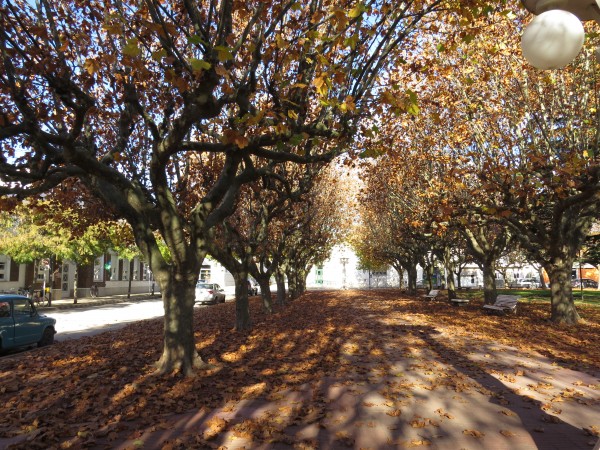 Foto 4/` Otoo en la plaza`