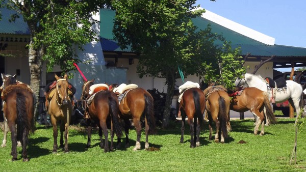 Foto 2/Por los Esteros del Iber