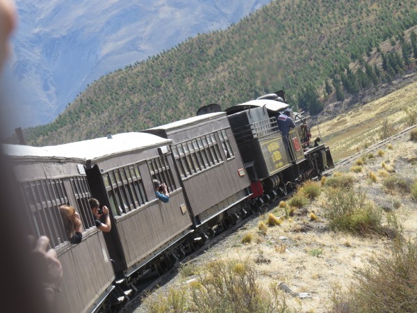 Foto 1/` Tren de la trochita...`