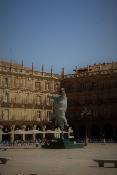 Foto 5/Salamanca