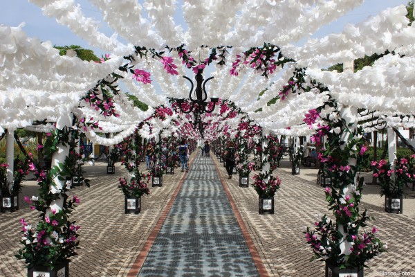 Foto 5/Jardin de flores de papel