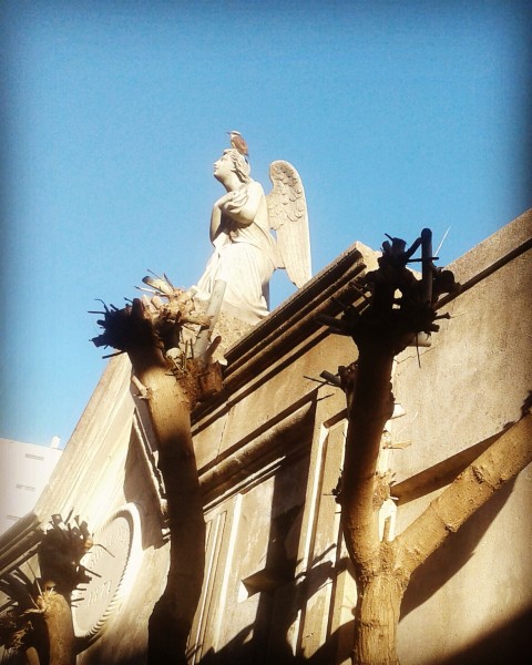 Foto 2/Cementerio de Recoleta