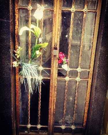 Foto 5/Cementerio de Recoleta