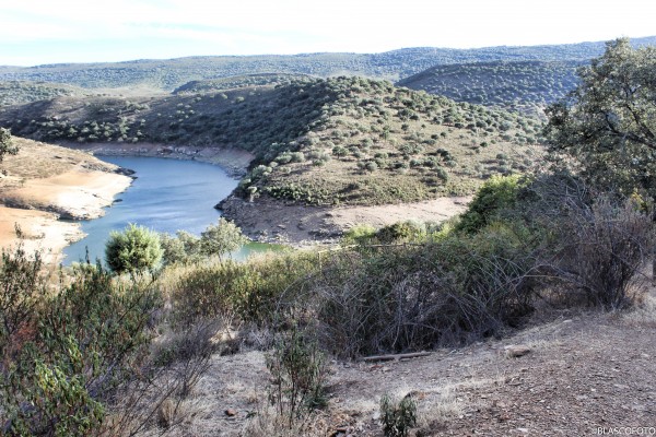 Foto 4/Parque Nacional de Monfrage