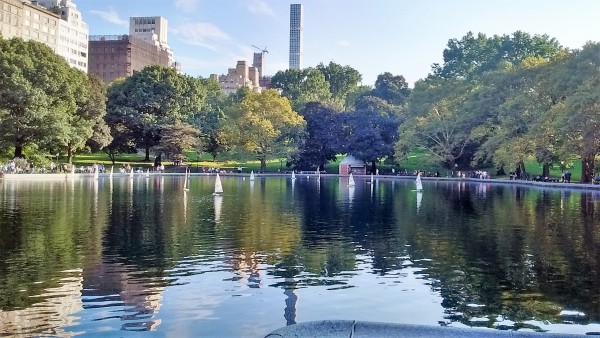 Foto 2/` Domingo en Central Park `