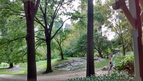 Foto 3/` Domingo en Central Park `