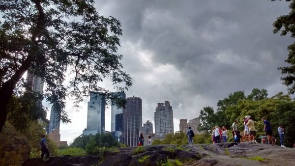 Foto 5/` Domingo en Central Park `