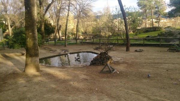 Foto 5/Parque de Los Pinos, Plasencia