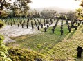 Cementerio Militar Alemn