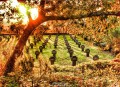 Cementerio Militar Alemn