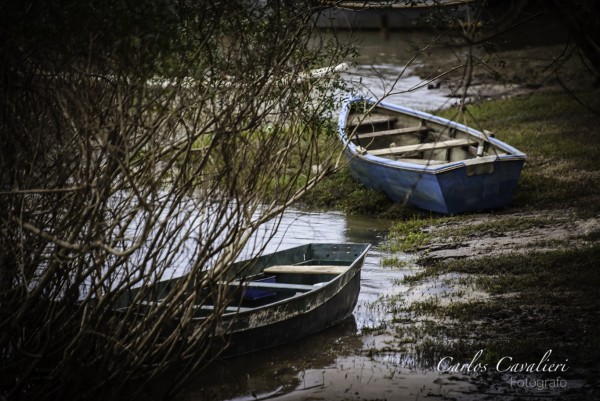 Foto 4/Costa de Colon Rio Uruguay