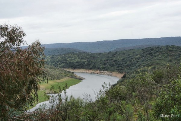 Foto 2/Parque Nacional de Monfrage