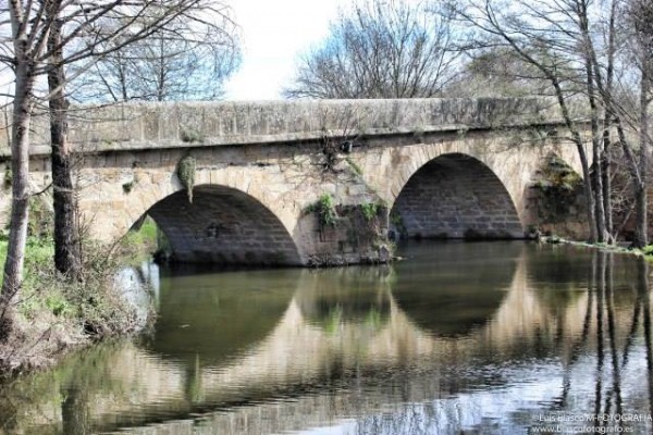 Foto 2/El puente