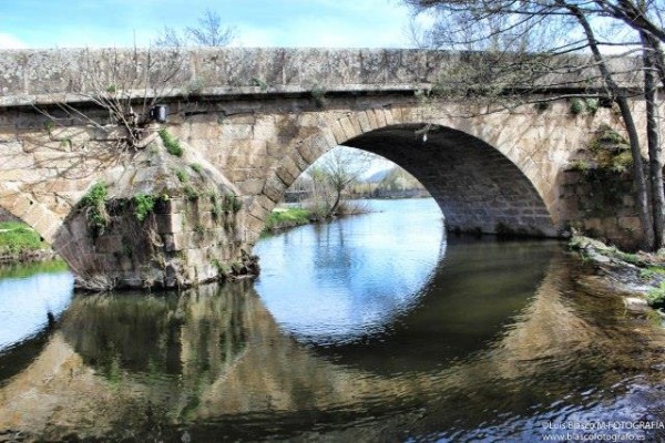 Foto 3/El puente