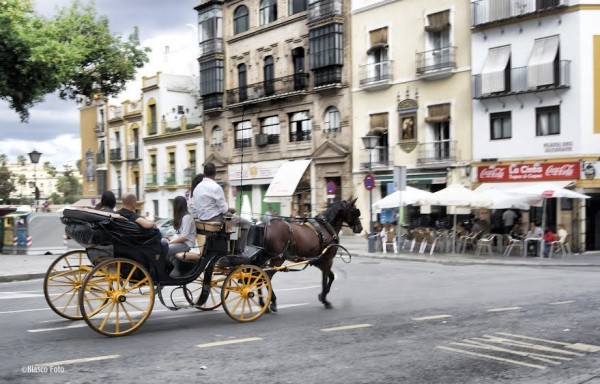 Foto 5/Sevilla