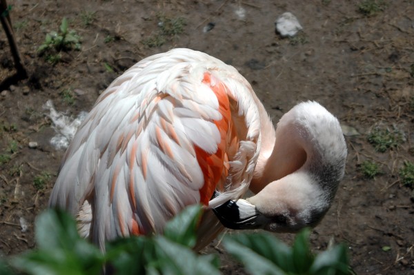 Foto 1/Cuando entrbamos gratis al Zoo.