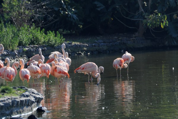 Foto 2/Cuando entrbamos gratis al Zoo.