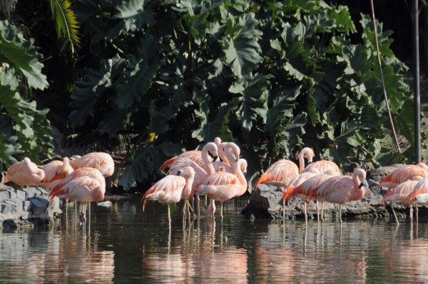 Foto 3/Cuando entrbamos gratis al Zoo.