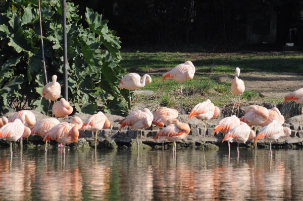 Foto 4/Cuando entrbamos gratis al Zoo.