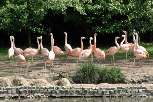 Foto 5/Cuando entrbamos gratis al Zoo.