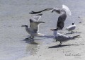 `La vida frente al mar`