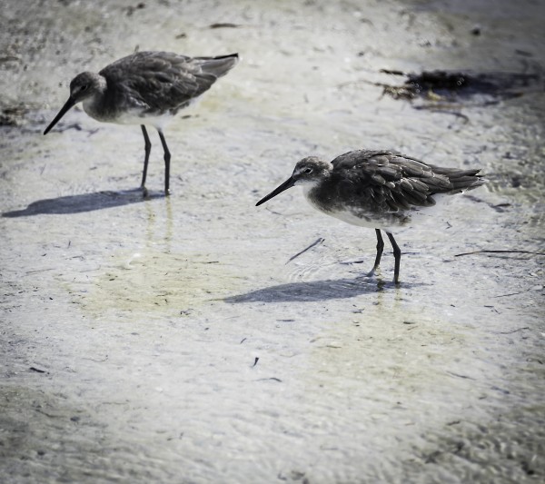 Foto 5/`La vida frente al mar`